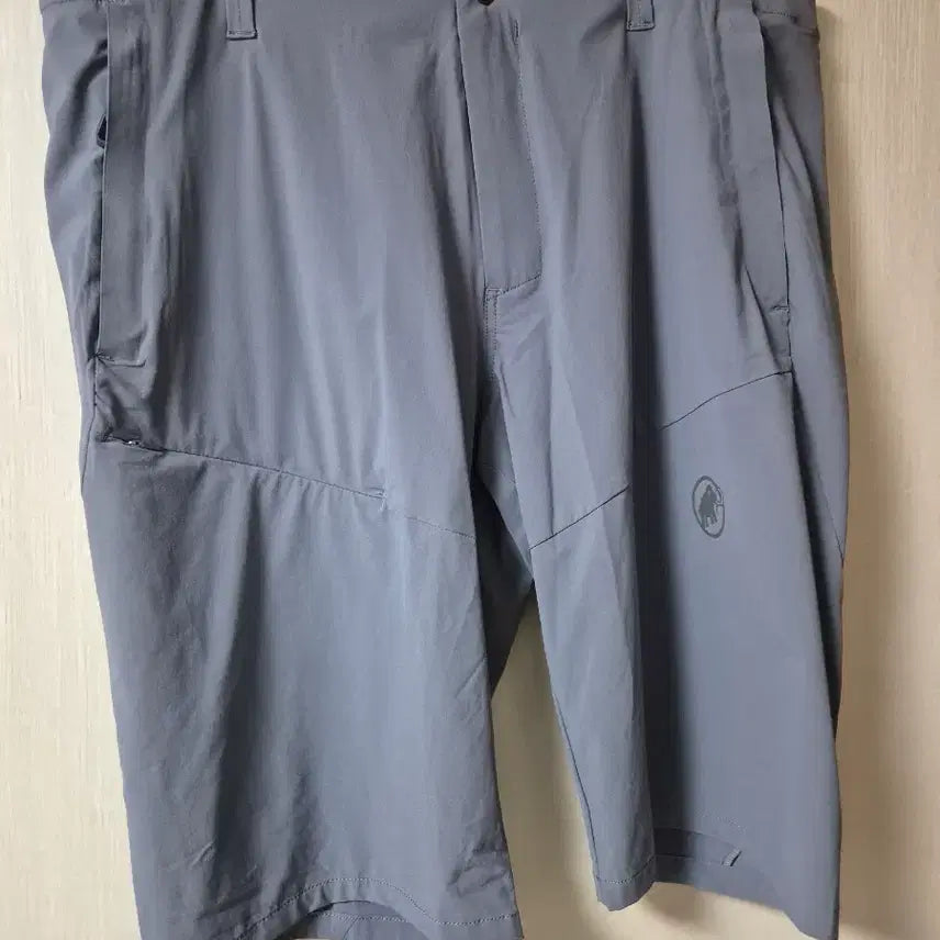 [BUNJANG] Mammut Men's Summer Shorts / 새제품 (정품) 마무트 MAMMUT 반바지 여름 팬츠 숏팬츠 36