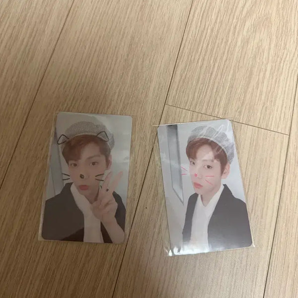 [BUNJANG] TXT Soobin Cat & Dog Studio Photocard Bundle Set / 투바투 수빈 캣앤독 공방포카 양도 투모로우바이투게더 연준 범규 태연 휴닝카이
