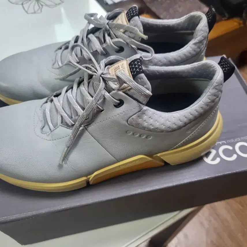 [BUNJANG] ECCO Golf Shoes (260-265) / 에코 골프화