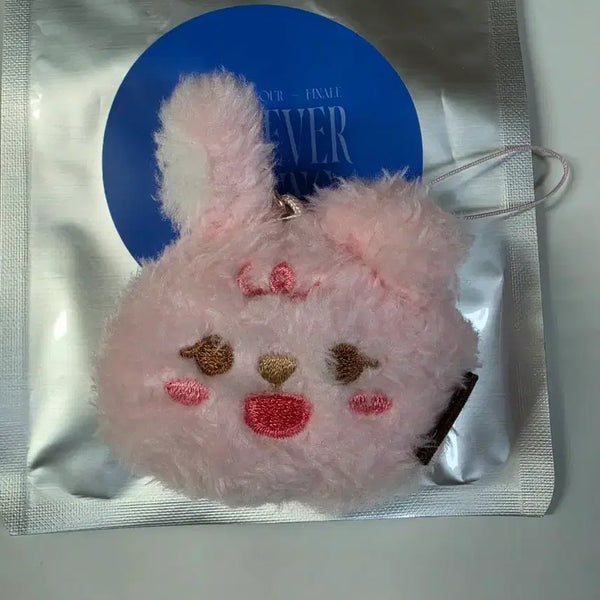 [BUNJANG] DAY6 Wonpil Petit Merz Secret Face Keyring / 원필 시크릿 페이스키링 필끼-쁘띠멀즈 필