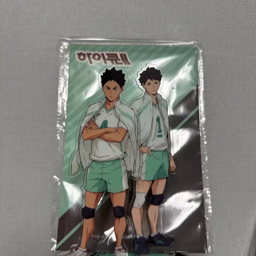 [BUNJANG] Haikyuu!! Aoba Johsai Acrylic Stand - Oikawa & Iwaizumi / 하이큐 아오바죠사이 아크릴 스탠드 오이카와 이와이즈미