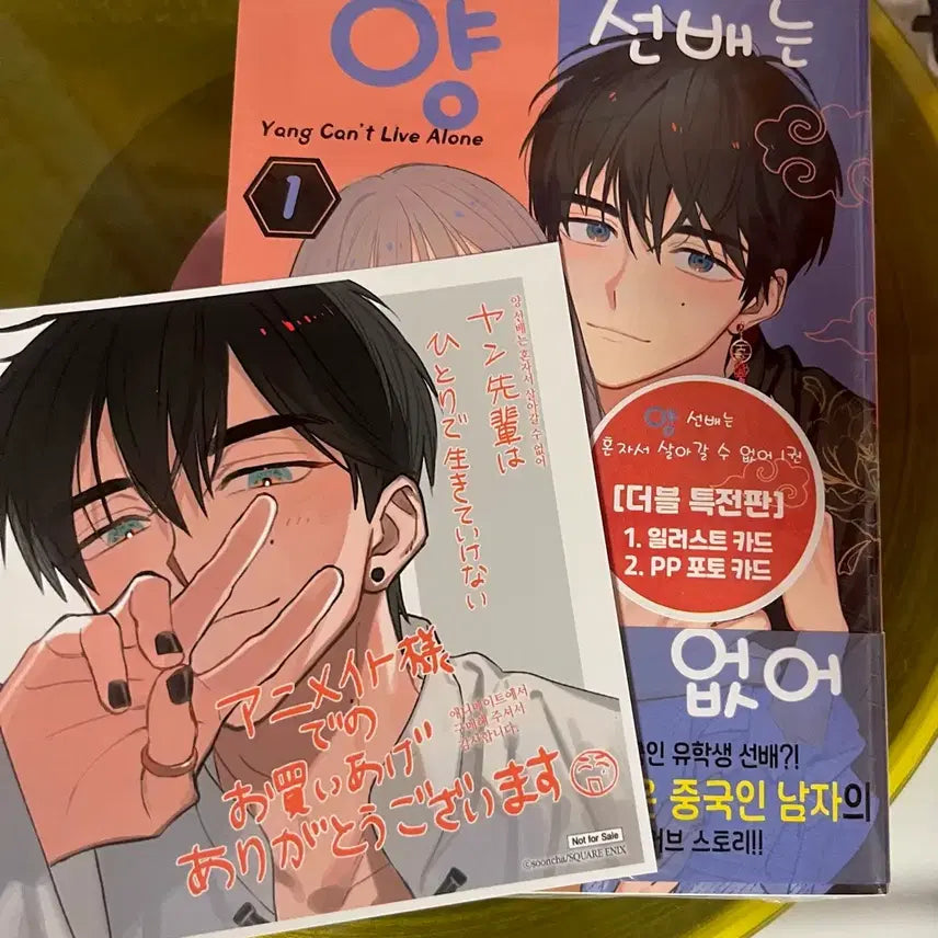 [BUNJANG] Animate Limited Edition 'My Senpai Can't Be This Lonely' Sealed Blu-ray / (미개봉 더특)양 선배는 혼자서 살아갈 수 없어 애니메이트
