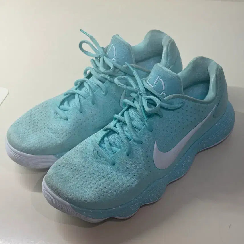 [BUNJANG] Nike Hyperdunk Basketball Shoes Size 280 / 나이키하이퍼덩크 농구화 280