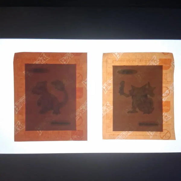 [BUNJANG] Pokemon Sticker Lizard & Yungella / 포켓몬 띠부실 리자드 윤겔라