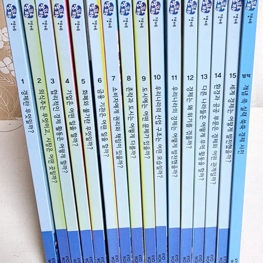 [BUNJANG] Understanding Economics Vol. 16 Book Set / 눈으로 보는 경제 16권