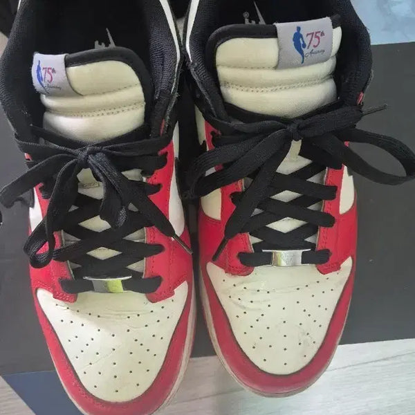 [BUNJANG] Nike Dunk Low 75th Anniversary NBA Edition / 나이키 덩크 로우 75주년 NBA 에디션