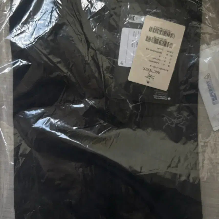 [BUNJANG] Arc'teryx Squamish Hoodie Black L / 26ss 아크테릭스 스쿼미시 후디 블랙 L