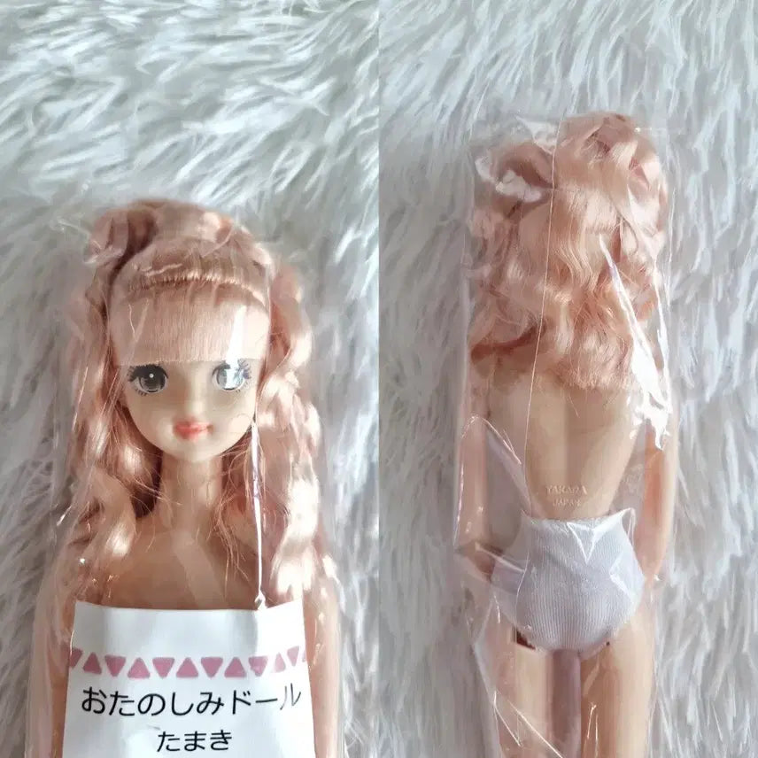 [BUNJANG] Lica Castle Jenny Friend Otoshimi Doll Tamaki (27cm) / [리카캐슬] 제니프렌드 오타노시미 돌 타마키