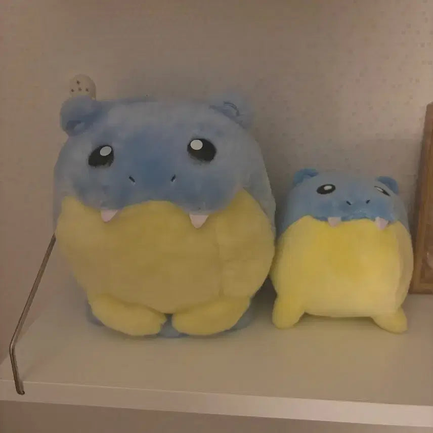 [BUNJANG] Pokemon Fit Daegulleo Bundle Set / 대굴레오 일괄