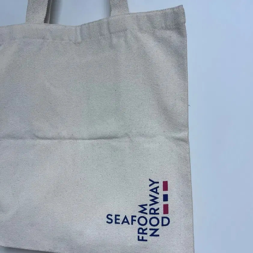 [BUNJANG] Canvas Eco Bag / 캔버스백 에코백