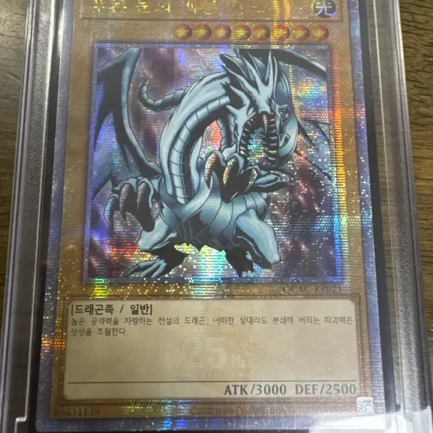 [BUNJANG] Yu-Gi-Oh! Blue-Eyes White Dragon & Red-Eyes Black Dragon 25th Anniversary Quarter Century Cards / 유희왕 푸른눈의 백룡, 붉은눈의 흑룡 25쿼싴