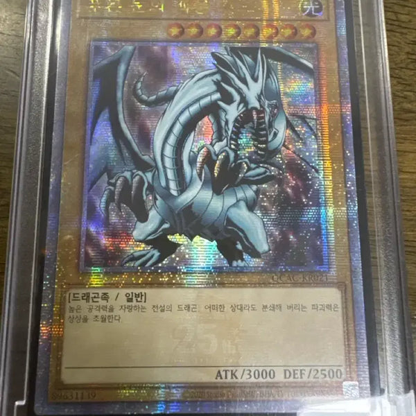 [BUNJANG] Yu-Gi-Oh! Blue-Eyes White Dragon & Red-Eyes Black Dragon 25th Anniversary Quarter Century Cards / 유희왕 푸른눈의 백룡, 붉은눈의 흑룡 25쿼싴
