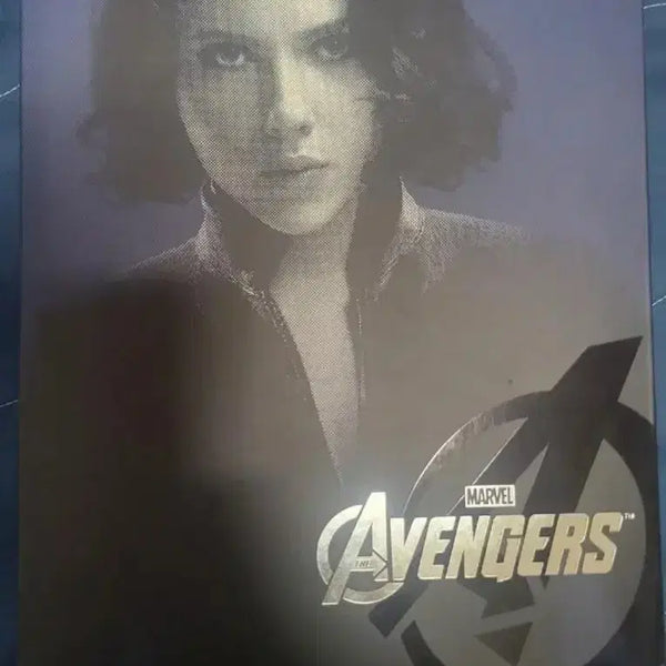 [BUNJANG] Marvel Avengers Black Widow Figure / 마블 어벤져스 블랙 위도우 피규어 어벤져스1