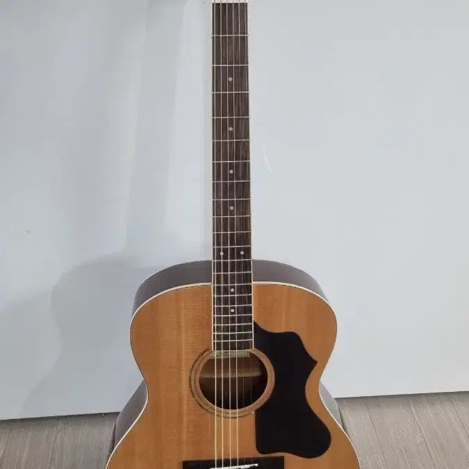 [BUNJANG] Muse Acoustic Guitar with Soft Case and Picks / 뮤즈 어쿠스틱통기타+소프트케이스+피크