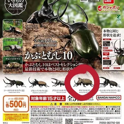 [BUNJANG] Bandai Biological Encyclopedia 10 Dynastes Hercules Herculesch / 반다이 생물 대도감 장수풍뎅이 10 사이비로카부토