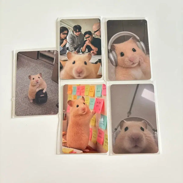 [BUNJANG] Kim Haemzzi 'Emotional Instability' Photocard Set (Sealed) / 정품)정서불안 김햄찌 포토카드