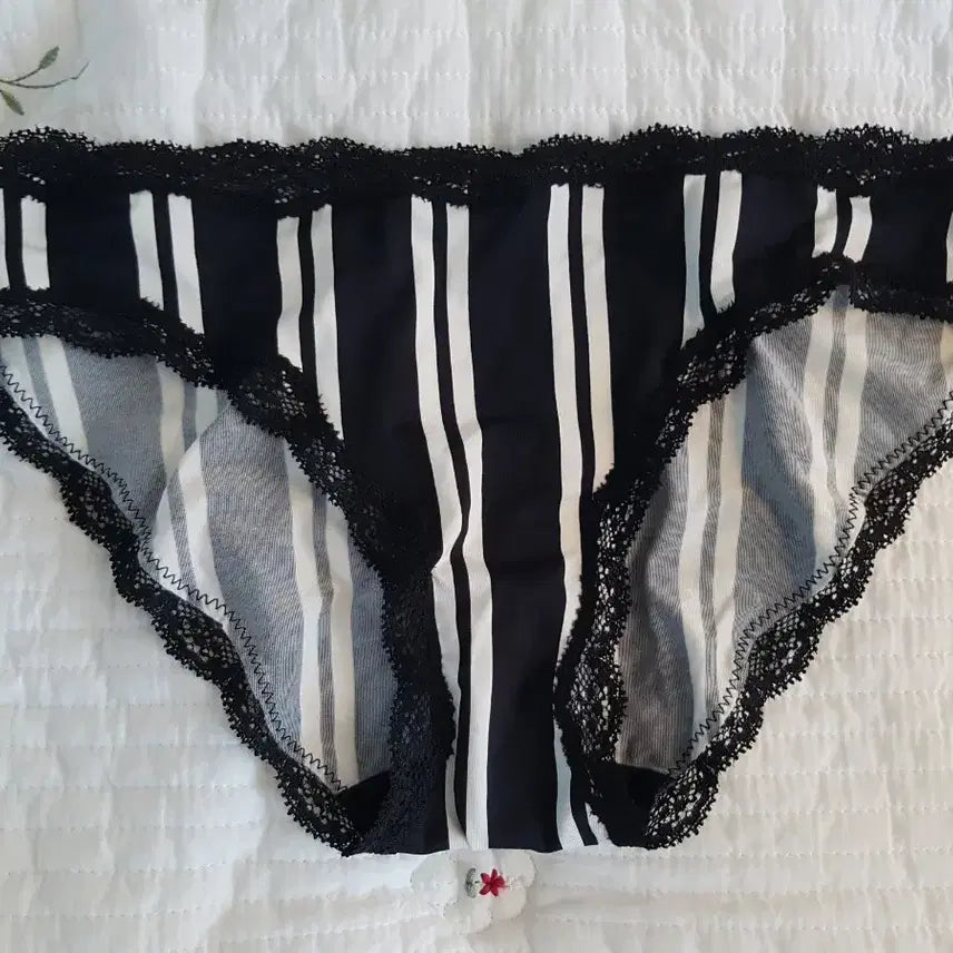 [BUNJANG] Emepel Lace Women's Briefs / 에메필 레이스 여성팬티 (중고)