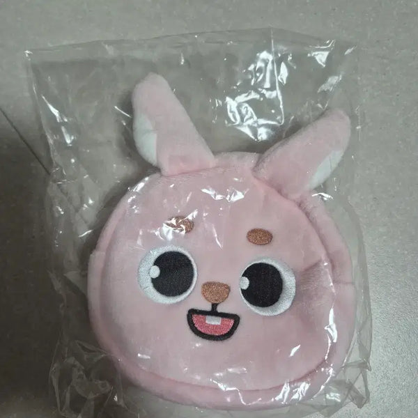 [BUNJANG] Day6 Japan Pouch / 데이식스 일본 파우치 필끼