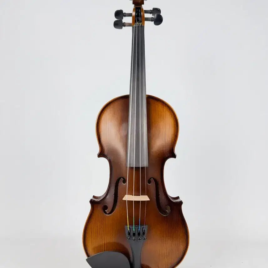 [BUNJANG] Lee Sihwan Violin 100, 4/4 Size, Full Set / 국내 공방 바이올린, 4/4사이즈, 상태좋음, 풀세트