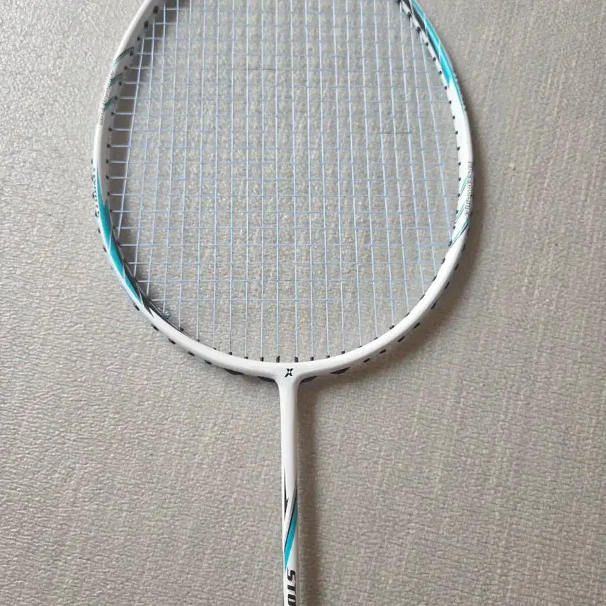 [BUNJANG] Stormy Badminton Racket & Mizuno Badminton Shoes (Size 285) / 배드민턴 장비팔아요