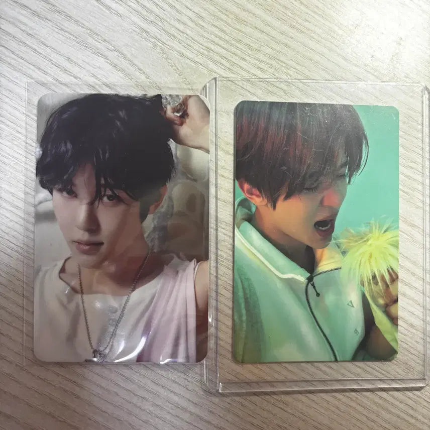 [BUNJANG] NCT WISH Sion Bundle Set Photocard / 엔시티 위시 시온 포카 일괄 판매