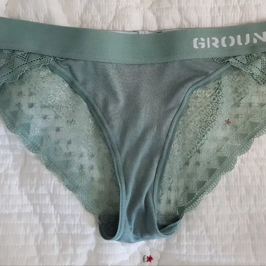 [BUNJANG] Mint Brief Women's Panties (Used) / 민트 브리프 여성 팬티(중고)