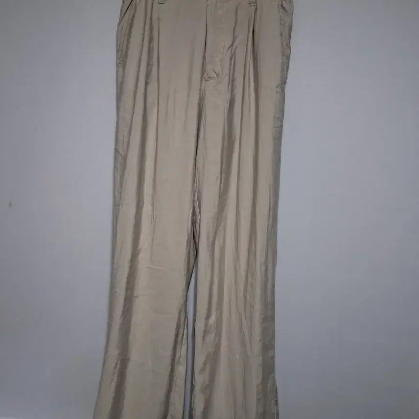 [BUNJANG] Zara Beige Wide Slacks Size 30 / 자라 베이지색 와이드 슬랙스(30)