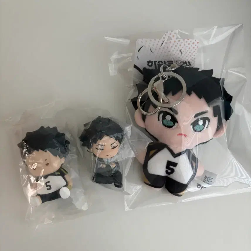 [BUNJANG] Haikyuu!! Akaashi Gacha & Plush Bundle / 하이큐 아카아시 가챠+누이 일괄