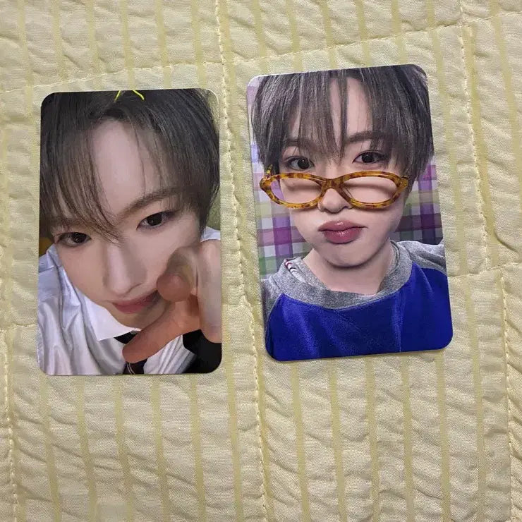 [BUNJANG] NCT WISH Sakuya Yoïdong Japanese Album Glasses Photocard / NCT WISH 엔시티 위시 사쿠야 요이동 일본 앨범 안경 포카 요이돈