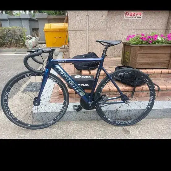 [BUNJANG] Constantine Chameleon Bernard 2024 Bicycle / 콘스탄틴 카멜레온 버나드 24년식 판/대