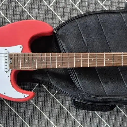[BUNJANG] Haxe E100 Electric Guitar / 헥스 일렉기타