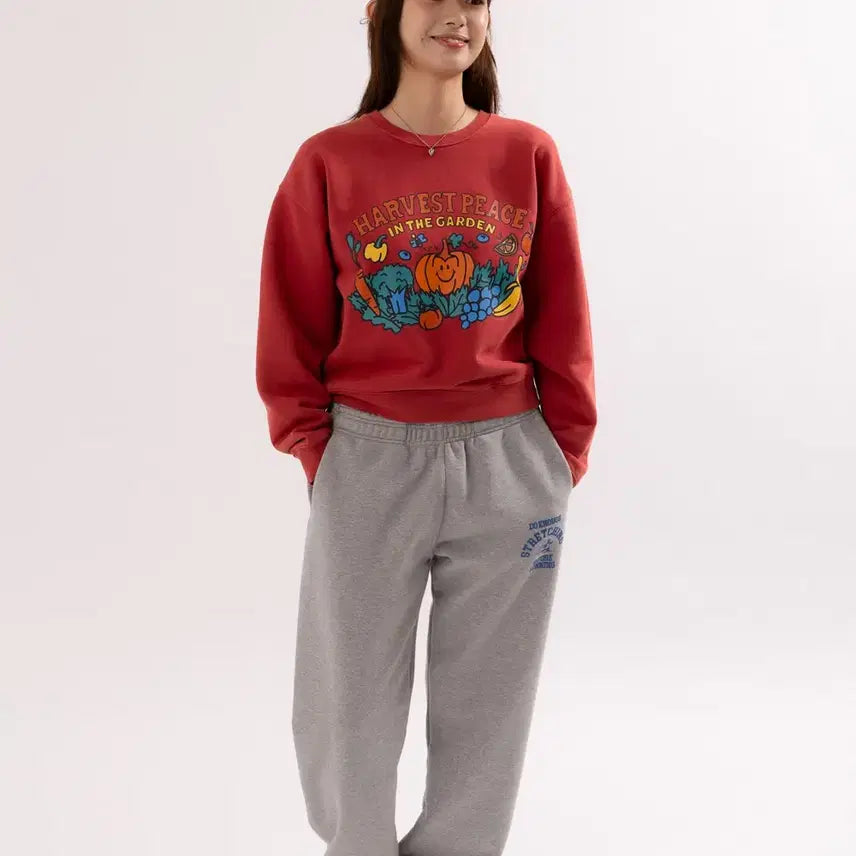 [BUNJANG] Big Wave Stretching Penguin Sweatpants (Sports Grey / Unisex M) / 빅웨이브 스트레칭 펭귄 스웻팬츠 (스포츠 그레이 / 남여공용 M)