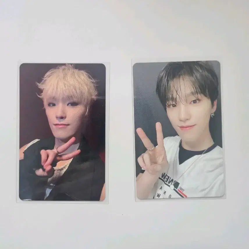 [BUNJANG] Seventeen Dino FML Weverse Shop POB & Falling Flower Photocard Bundle Set / 세븐틴 디노 이 찬 FML 손오공 위버스샵 미공포 &  Falling Flower 폴플 포카 일괄