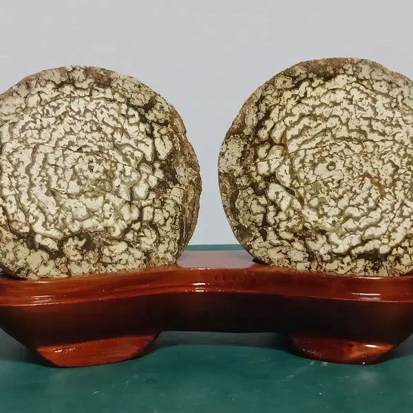 [BUNJANG] Cheongsong Flower Stone (Buldo Hwa) - Ceramic Stand / 청송꽃돌(불도화)
