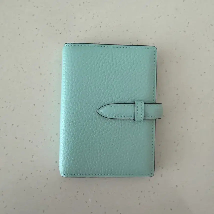 [BUNJANG] Brelio Diary M5 Aqua / 브렐리오 다이어리 m5 아쿠아