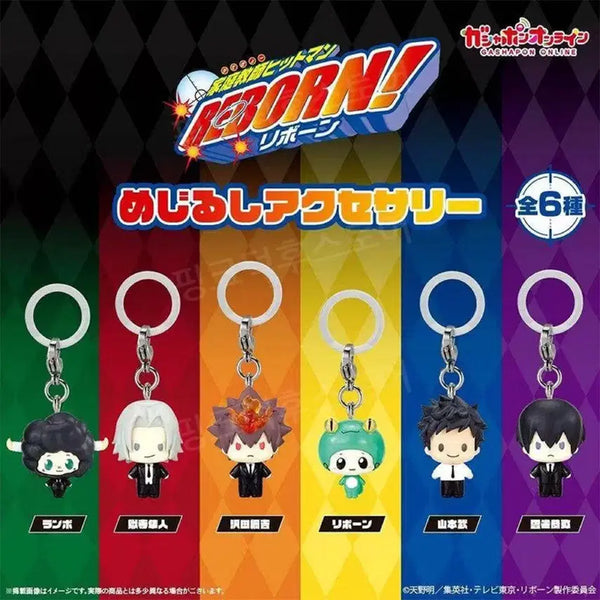 [BUNJANG] Katekyo Hitman Reborn! Reborn! GOKUDERA Unsealed Goods / 가히리 메지루시 고쿠데라 (미개봉) 팔아요