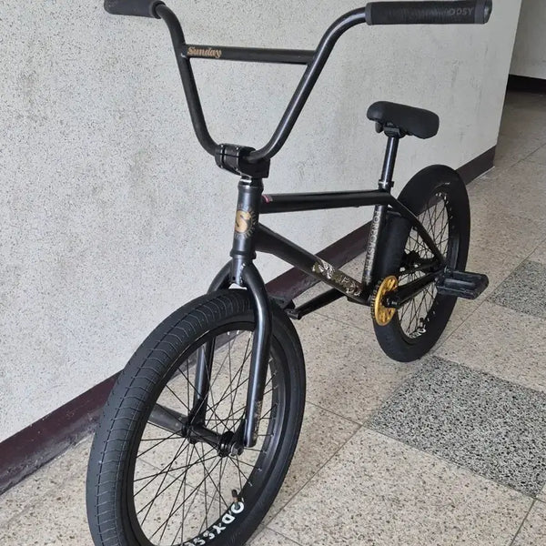 [BUNJANG] Sunday Forecaster Brock Raiford Signature 21TT BMX Bicycle / 선데이 포어케스터 브록 레이퍼드 21TT 프리코스터 bmx 대차 X