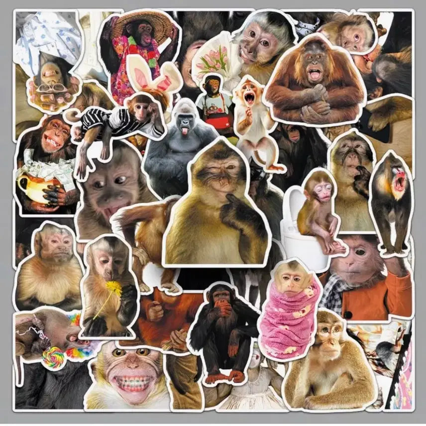 [BUNJANG] Monkey Stickers (40 pcs) / 40장 원숭이맘들 위한 몽키스티커