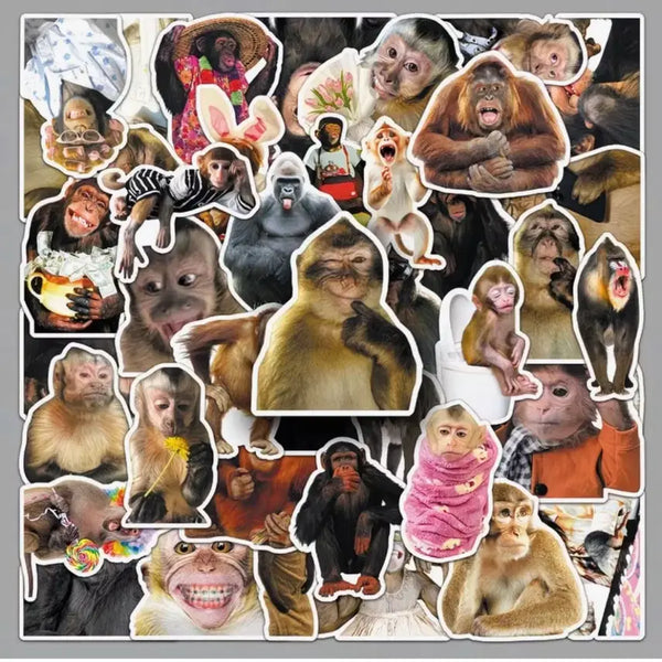 [BUNJANG] Monkey Stickers (40 pcs) / 40장 원숭이맘들 위한 몽키스티커