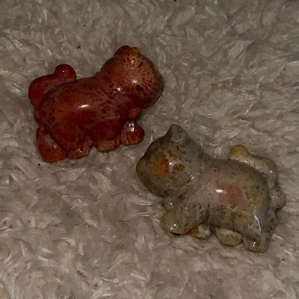 [BUNJANG] Natural Coral Jasper Cat Carving Stone / 천연원석 산호옥 고양이 카빙 원석 돌 산호 재스퍼