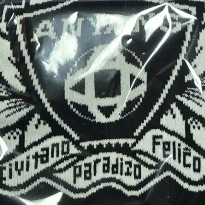 [BUNJANG] FC Anyang 2026 Season Ticket Scarf / FC안양 시즌권 머플러