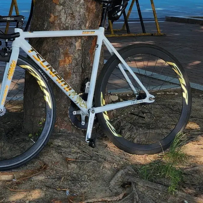 [BUNJANG] Custom Track Bike "Tsunami" Gold Trim - M Size / 쓰나미 금장