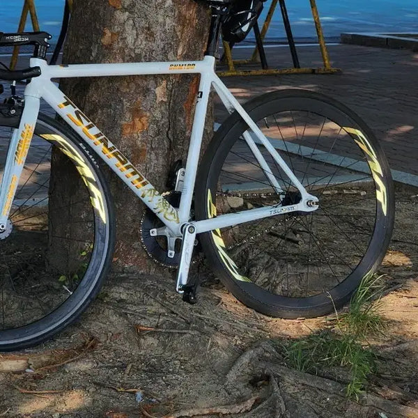 [BUNJANG] Custom Track Bike "Tsunami" Gold Trim - M Size / 쓰나미 금장