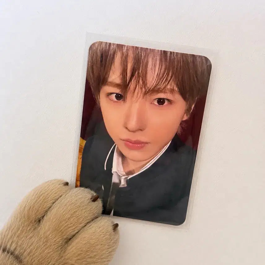 [BUNJANG] NCT WISH Boy meets girl Yoishidon Japanese Album Yushi Photocard / nctwish 엔시티위시 보이미츠걸 요이돈 일본앨범 유우시 포카