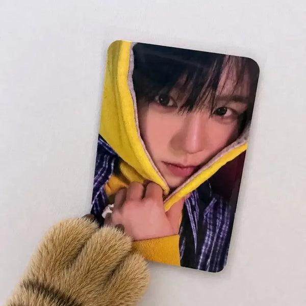 [BUNJANG] NCT WISH Boy meets girl Yo! Don Japan Album Jaehee Photocard / nctwish 엔시티위시 보이미츠걸 요이돈 일본앨범 재희 포카