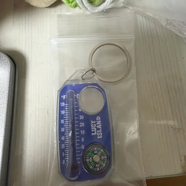 [BUNJANG] Lucy Compass Keyring / lucy 루시 무신사 나침반 키링