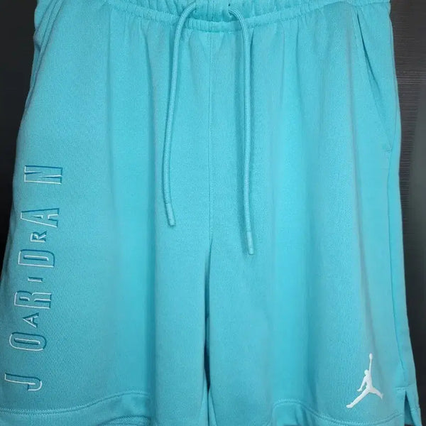 [BUNJANG] Jordan Pure Purple Shorts M / 조던 반바지 퓨어 퍼플 M 새제품