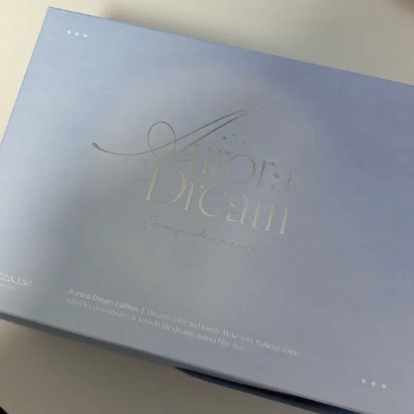 [BUNJANG] Picasso Aurora Dream Carrier Pouch / 피카소 오로라 드림 캐리어 파우치