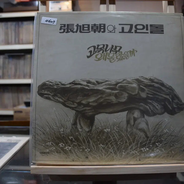 [BUNJANG] Jang Wookjo & Goindol Why Did I Not Know? Vinyl Record (Near Mint) / 장욱조와 고인돌 니어민트 : 왜몰랐을까