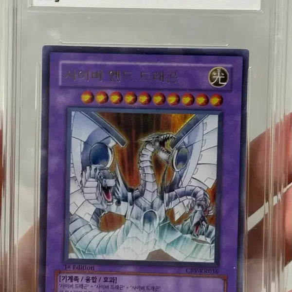 [BUNJANG] Cyber End Dragon 1st Edition BRG 8 / 사이버 엔드 드래곤 1st BRG 8